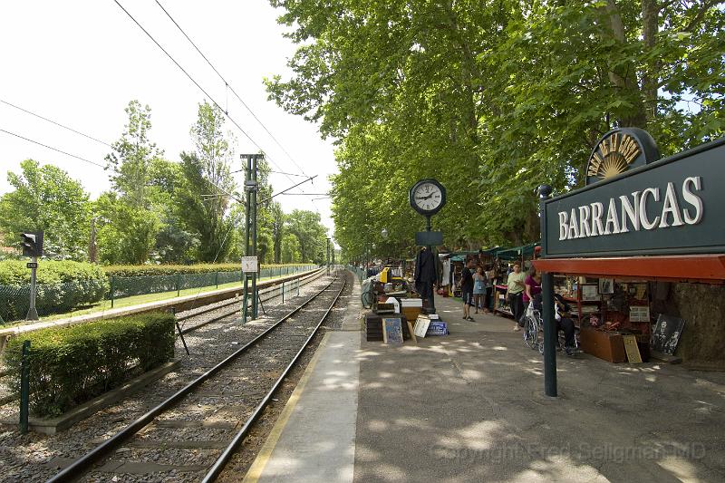 20071201_134525  D2X 4200x2800.jpg - Train station, Barrancas, Argentina.  Antique market in background